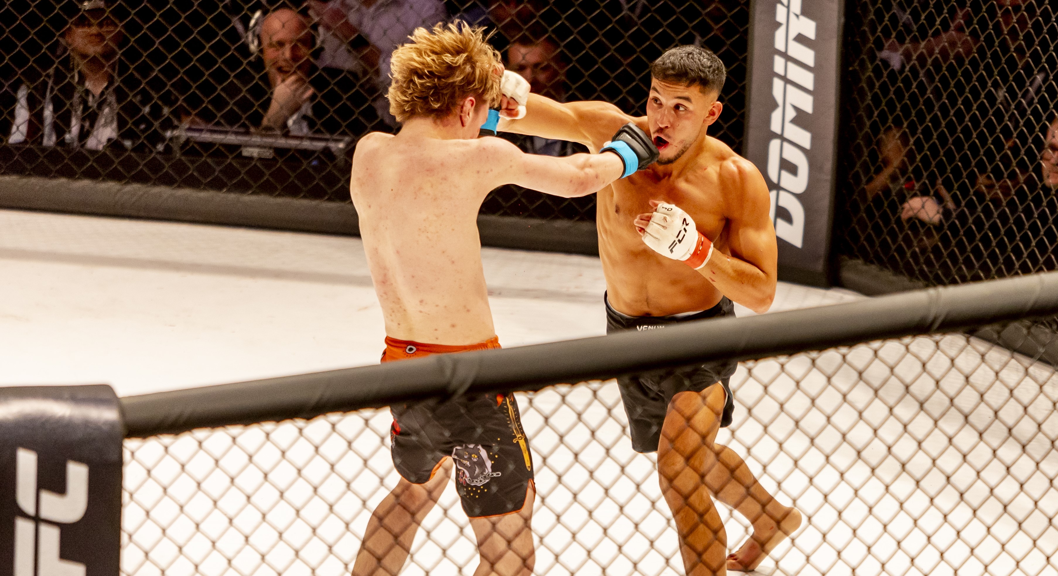 live-tv-top-image